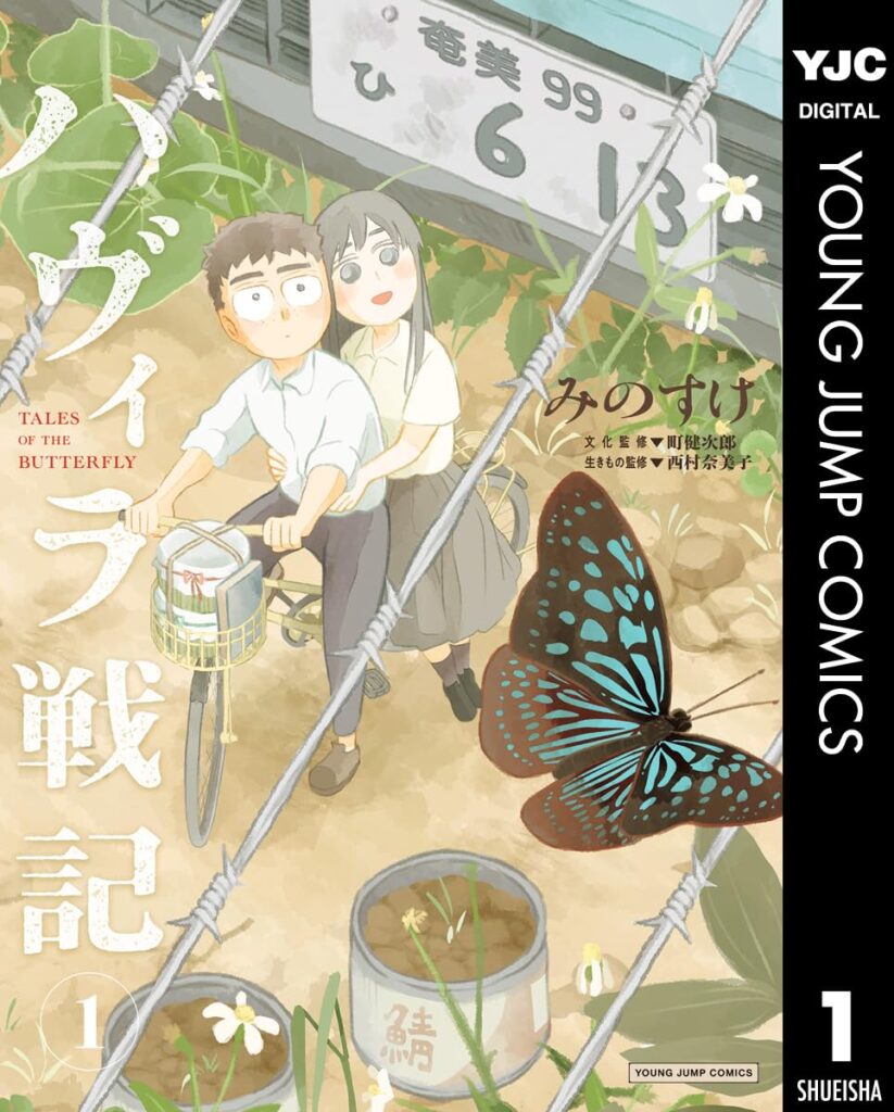 ハヴィラ戦記